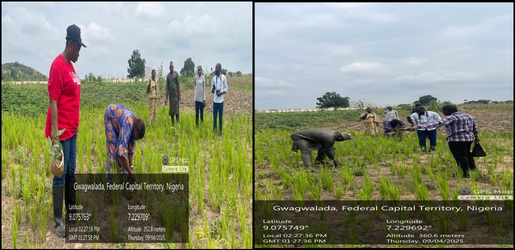 FAO Land Gwagwalada 1