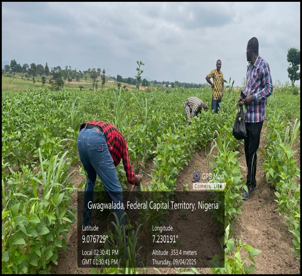 FAO Land Gwagwalada 2
