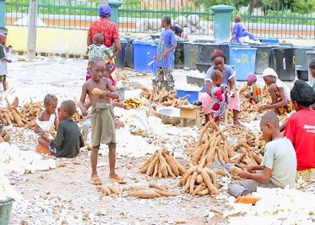 Sheda Cassava Processing Center Before Intervention