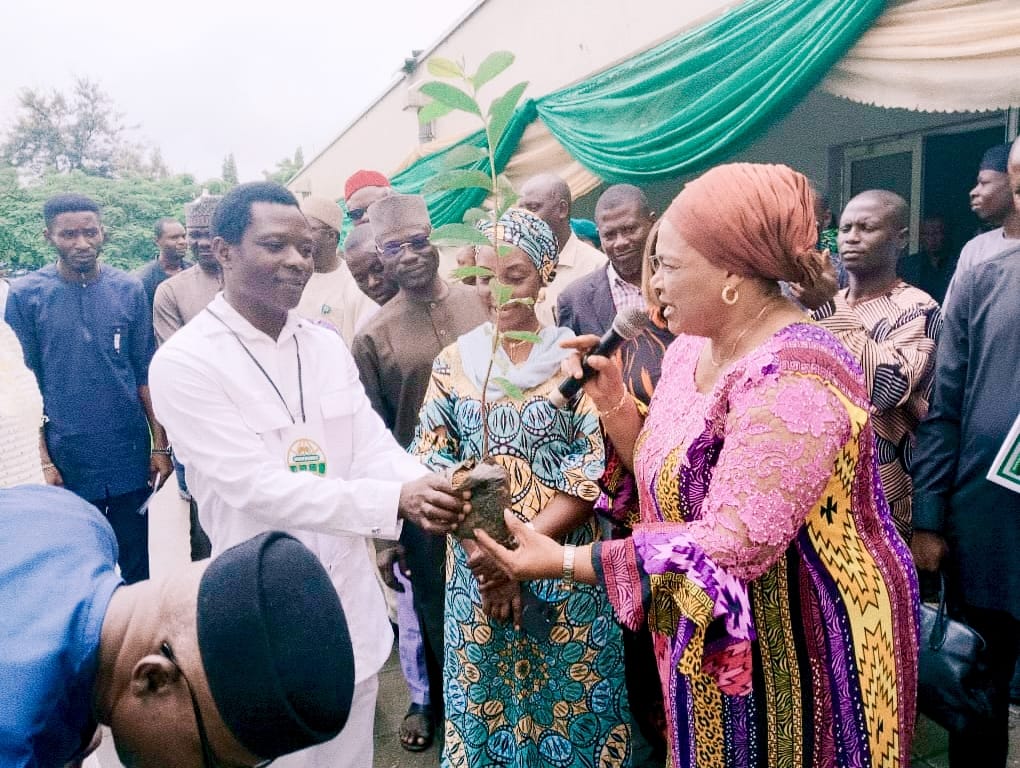 WORLD BEE DAY: FCT ACReSAL Distributes 3,000 Pollinator-Friendly Tree Seedlings to Boost Ecosystem Health